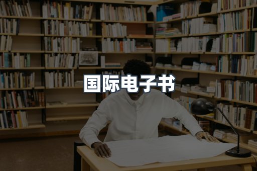 国际电子书